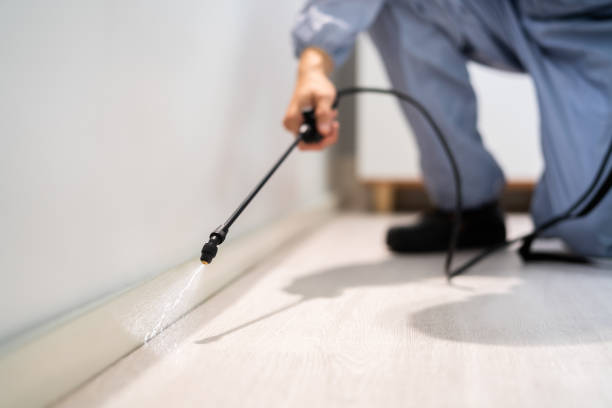 Licensed Pest Control service in Fairfield University, CT - Show Me Pest Control