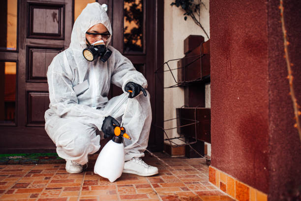 Attic and Crawl Space Rodent Treatment in Fairfield University