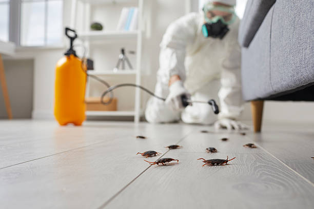 Commercial Rodent Management in Fairfield University